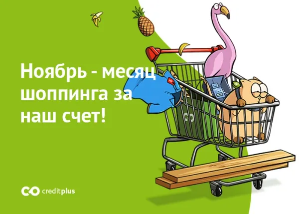 Ноябрь - месяц шоппинга за наш счет!